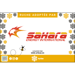 APIDAE - 240 stickers vinyle transparent 10,5x4,3cm en planche + 2 panneaux dibond 30x20cm