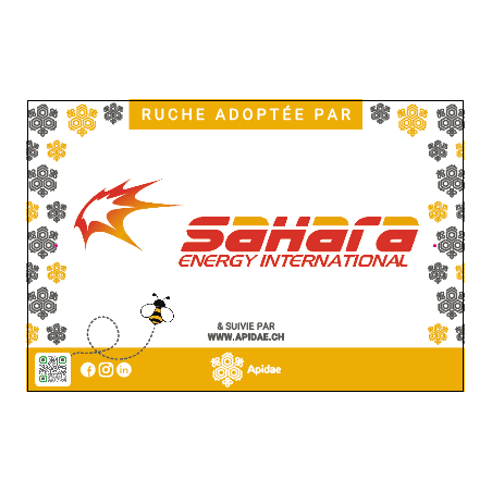 APIDAE - 240 stickers vinyle transparent 10,5x4,3cm en planche + 2 panneaux dibond 30x20cm
