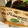Panneau éco-responsable personnalisé en bois 10mm l Panneau en Ligne